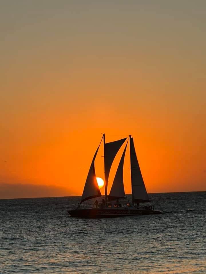 WhatsApp Image 2024-11-19 at 10.24.50 AM